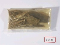 藏品(哺乳動物化石)的圖片